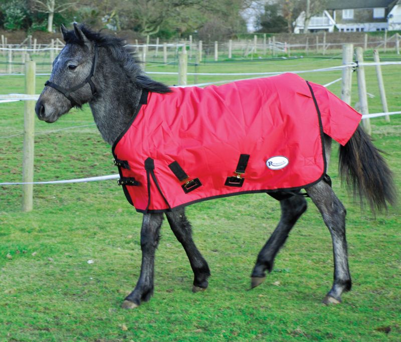 Rhinegold Konig poni/varsa õuetekk 600D 200g - Pilt 3