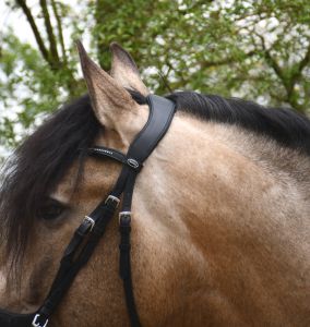 Heritage Saddlery anatoomilised valjad ristkapsliga - Pilt 2