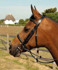 Heritage Saddlery Inglise nahast valjad