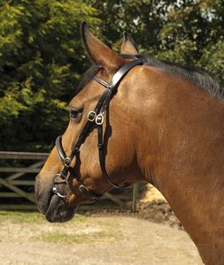 Heritage Saddlery inglise nahast näituse valjad - Pilt 2