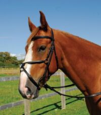 Heritage Saddlery inglise nahast valjad mehhiko kapsliga
