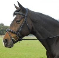 Heritage Saddlery inglise nahast Comfort valjad eemaldatava ristkapsliga