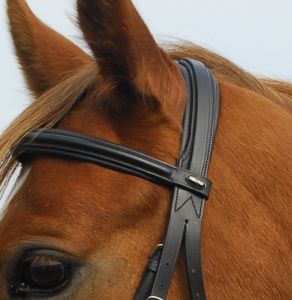 Heritage Saddlery inglise nahast Comfort valjad - Pilt 2