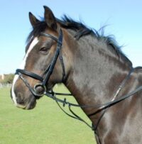 Heritage Saddlery inglise nahast jooksev martingal