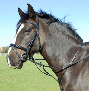 Heritage Saddlery inglise nahast jooksev martingal