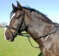 Heritage Saddlery inglise nahast rinnarihm