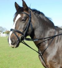 Heritage Saddlery inglise nahast martingal ja ratsmed