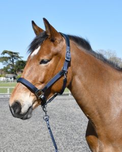 Heritage Saddlery stiilsed anatoomilised päitsed - Pilt 2