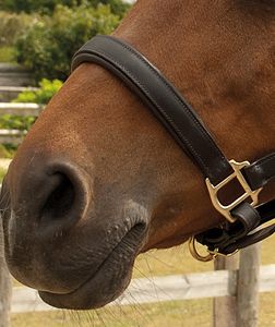Heritage Saddlery inglise nahast pehmed päitsed - Pilt 2
