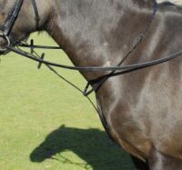 Windsor Equestrian nahast fikseeritud martingal