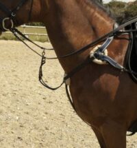 Windsor Equestrian 5 point nahast rinnarihm