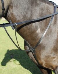 Windsor Equestrian nahast rinnarihm