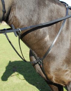 Windsor Equestrian nahast rinnarihm