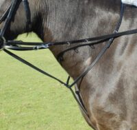 Windsor Equestrian nahast martingal ratsmetega