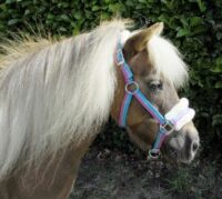Rhinegold pehme karvaga ja erksatriibulised poni päitsed