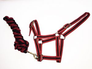 Harlequin päitsed ja jalutusnöör - Pilt 6