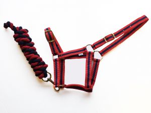 Harlequin päitsed ja jalutusnöör - Pilt 5