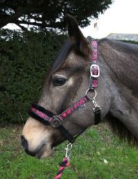 Rhinegold I Love My Pony päitsed ja nöör