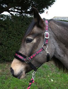 Rhinegold I Love My Pony päitsed ja nöör