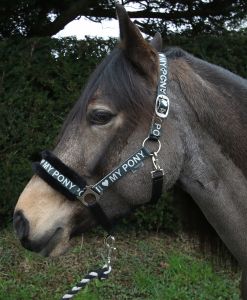 Rhinegold I Love My Pony päitsed ja nöör - Pilt 2