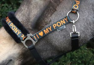Rhinegold I Love My Pony päitsed ja nöör - Pilt 7