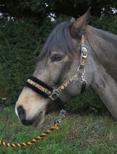 Rhinegold I Love My Pony päitsed ja nöör - Pilt 4