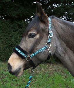 Rhinegold I Love My Pony päitsed ja nöör - Pilt 3