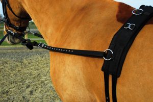 Rhinegold nailonist treeningkomplekt - Pilt 2