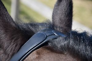 Rhinegold nahast kordepäitsed suuliste kasutamise võimalusega - Pilt 2