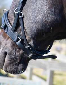 Rhinegold nahast kordepäitsed suuliste kasutamise võimalusega - Pilt 3
