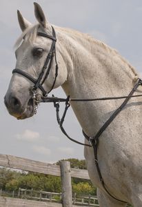 Rhinegold Elegance õmblustega rinnarihm - Pilt 2