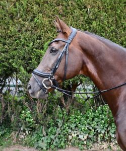Rhinegold pehmed polsterdatud nahast anatoomilised valjad - Pilt 2