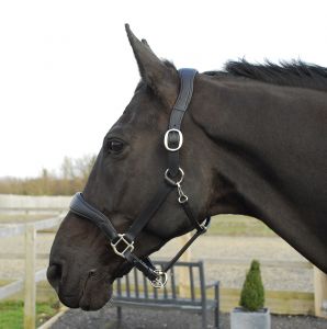 Rhinegold pehmest nahast anatoomilised päitsed - Pilt 3