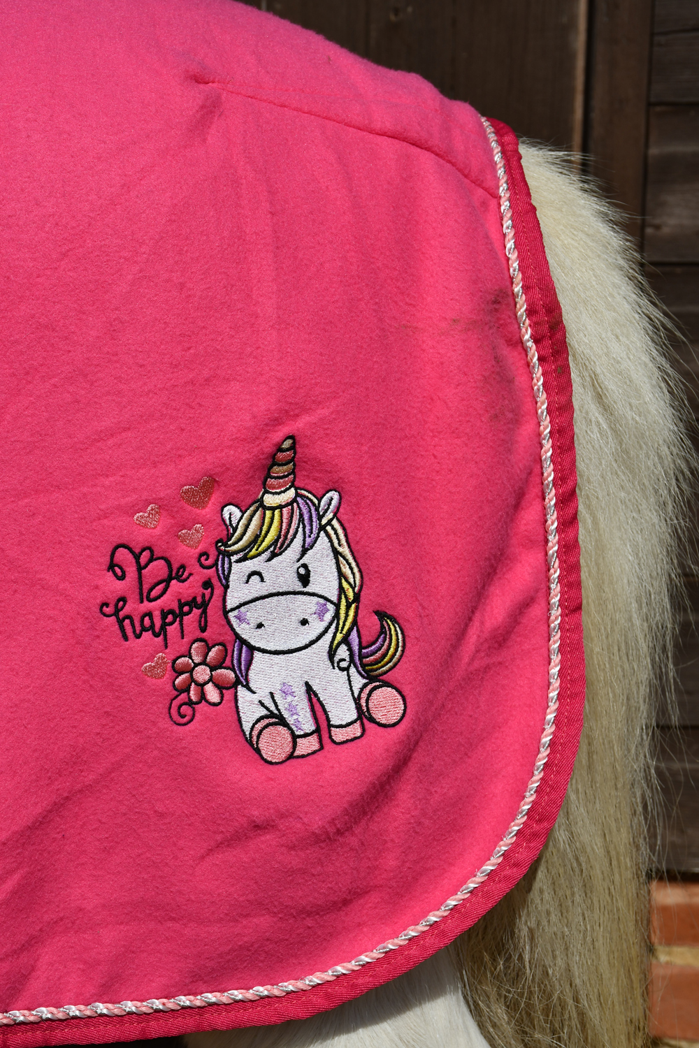 Rhinegold Unicorn Mini fiistekk - Pilt 4