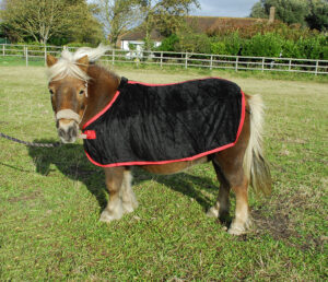 Rhinegold poni fliistekk