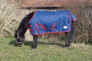 Rhinegold Dottie Torrent poni/varsa õuetekk 600D 0g
