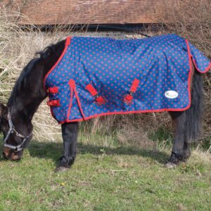 Rhinegold Dottie Torrent poni/varsa õuetekk 600D 0g