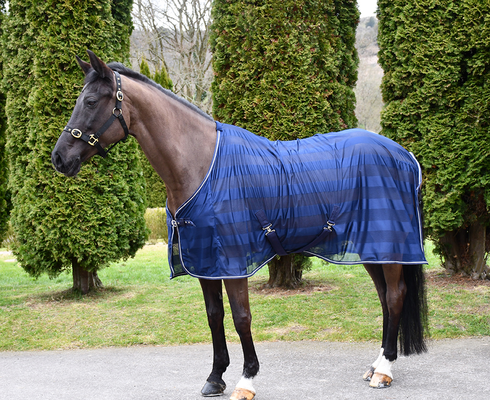 Rhinegold coolertekk - Pilt 3