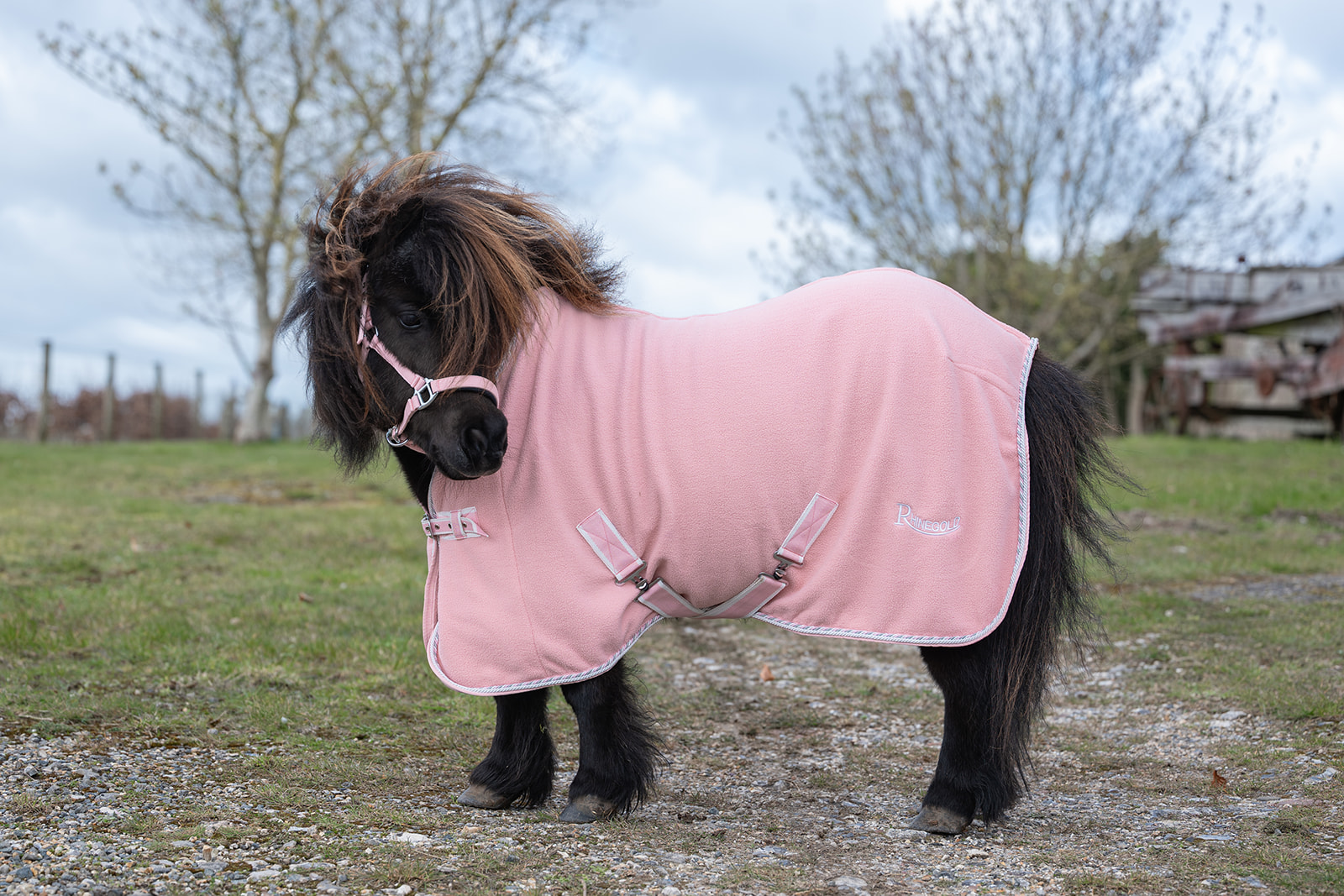 Rhinegold Sorbet mini fliistekk - Pilt 2