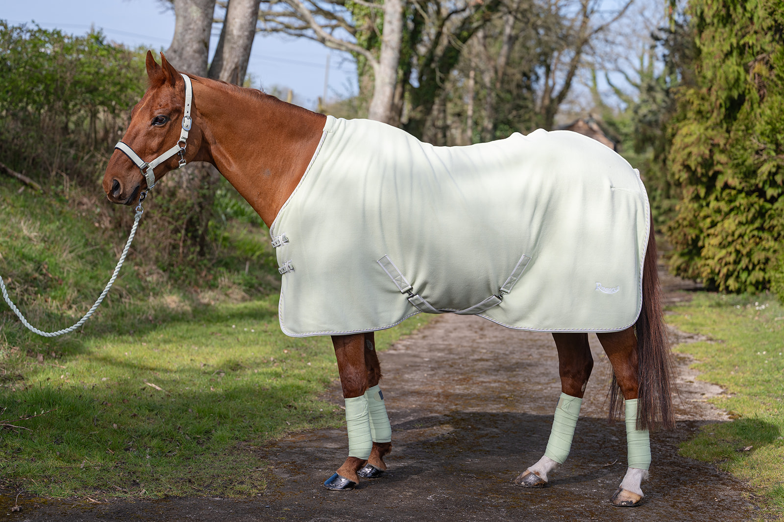 Rhinegold Sorbet fliistekk - Pilt 4