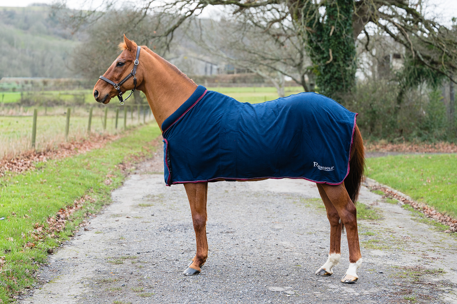 Rhinegold Comfy Collar fliistekk
